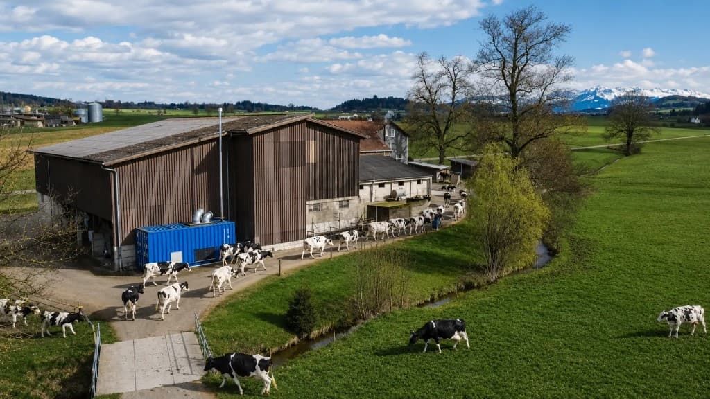 Luftaufnahme eines Schweizer Hofes mit LANOX Warmluft-Ofen im Container neben der Scheune, Kühe auf der Weide und Alpen im Hintergrund