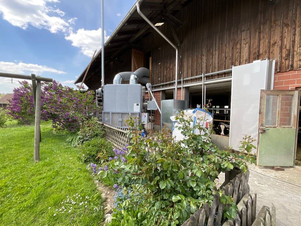 LANOX Pellet-Heizanlage mit Warmluftschläuchen an einem Stall, Kühe im Freilauf und Garten im Vordergrund